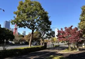 日比谷通り沿いを東京タワーや増上寺方面に進めば当ビル着