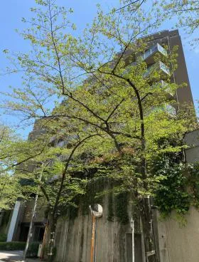 アークヒルズエグゼクティブタワーの外観