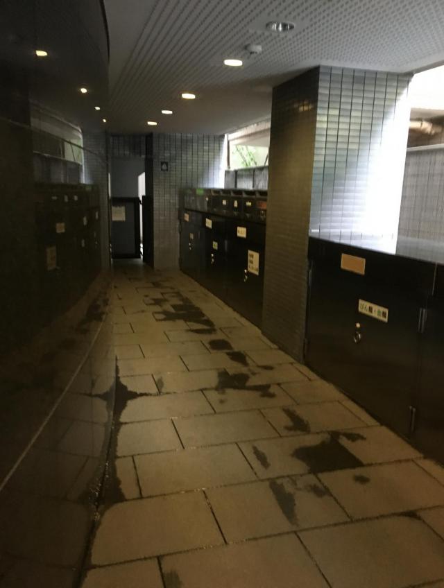 東京都港区南青山6