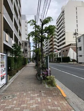 SHINSEIビルの外観