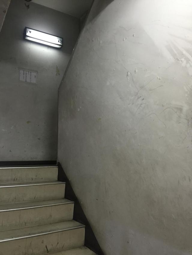 東京都新宿区大久保1