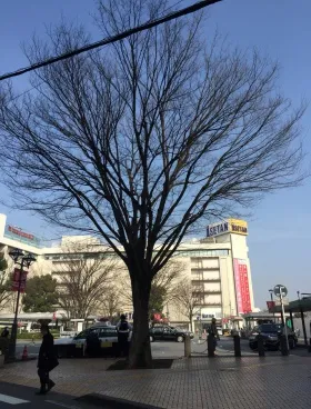 浦和大栄の外観