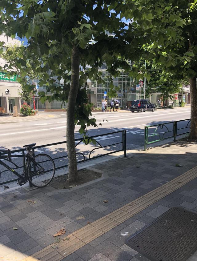 東京都新宿区西早稲田