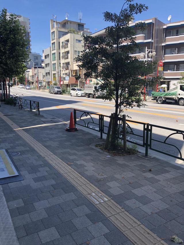 東京都新宿区西早稲田