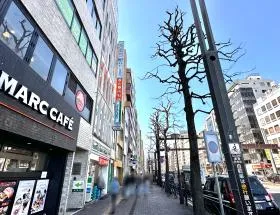 新宿通り沿いを新宿方面に直進していけば当ビル着
