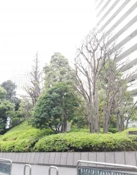 チュリス赤坂の外観