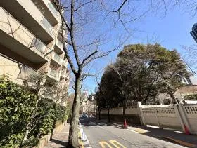 直進し、最初に現れる右への道に曲がれば当ビル着