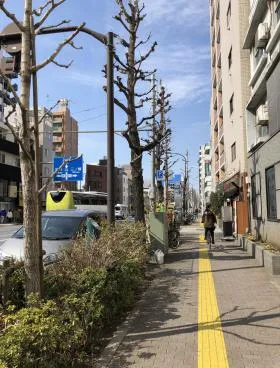 コレクションビルの外観