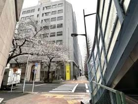 歩道橋を通過したら左へ曲がり直進する
