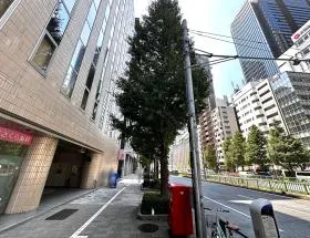 昭和通り沿いを直進する（銀座方面）