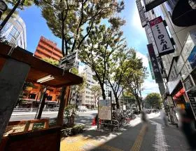 地上に出たら直進、反対側（左側）に渡って新宿通り沿いを四ツ谷方面に進めば当ビル着
