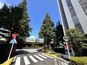 首都高速のある通りの手前で右に曲がる
