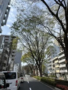 RBW JAPANビル(旧:山吹町ビル)の外観
