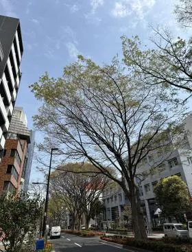 RBW JAPANビル(旧:山吹町ビル)の外観
