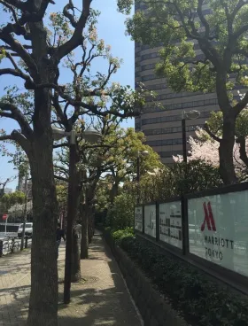 御殿山トラストタワーの外観