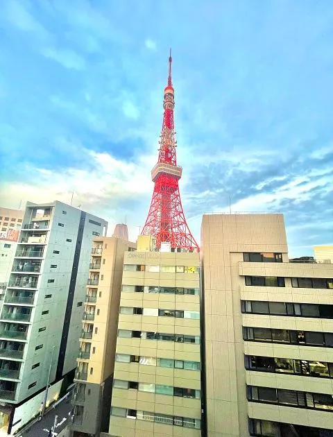東京タワーを望む来客対応に映える一室の居抜き賃貸オフィス物件(約40坪) ｜居抜きオフィス物件検索サイト【vivit-ビビット】（6）