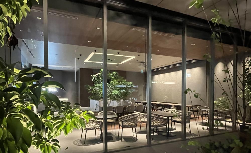 無料会員限定情報