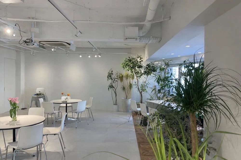 無料会員限定情報