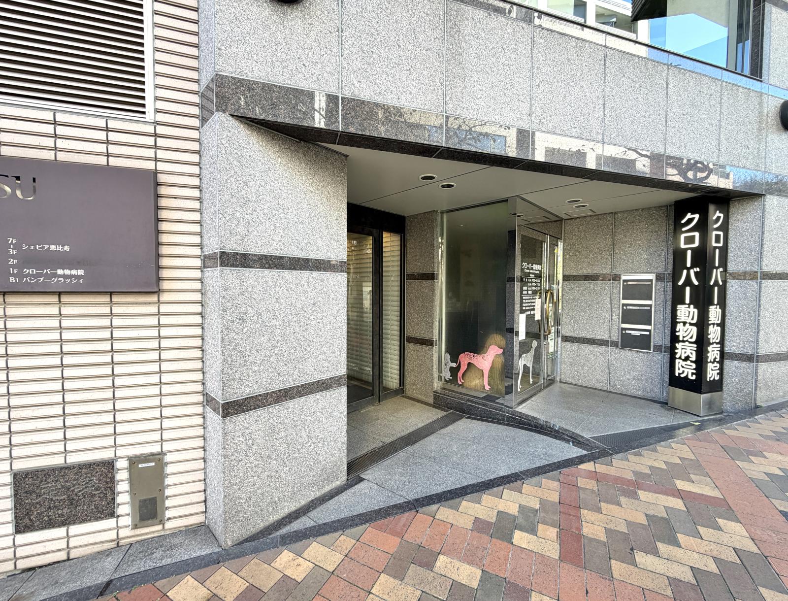 東京都渋谷区恵比寿