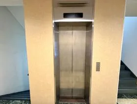 フェザーの外観