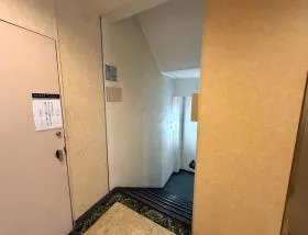 フェザーの外観