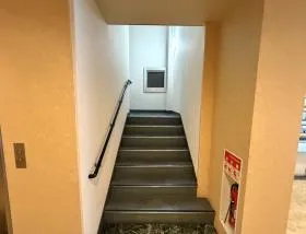 フェザーの外観