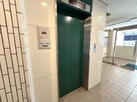 東洋の外観