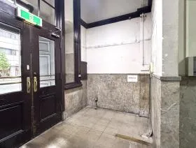 風蘭の外観