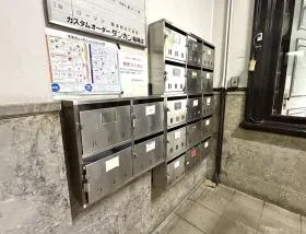 風蘭の外観