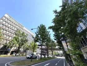 イヨの外観