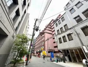 エースの外観