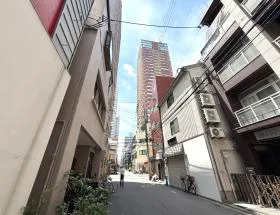 パールの外観