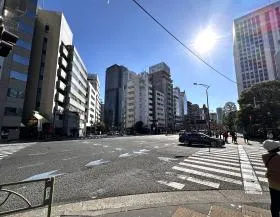 横断歩道が現れるので反対側に渡る