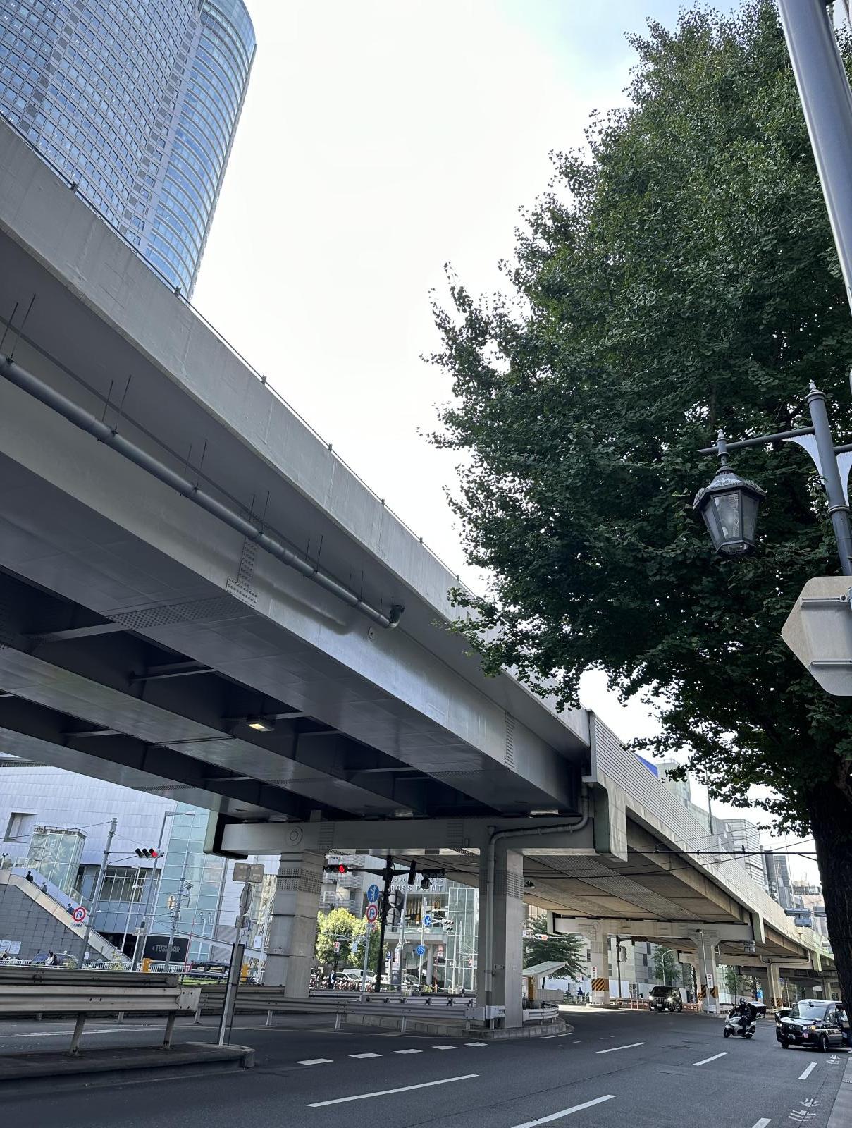 東京都港区六本木