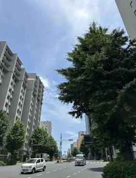 プライムメゾン本郷の外観